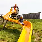 Pensionat & Au an der Donau