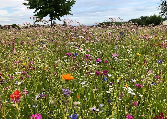 & بيت ضيافة Au an der Donau