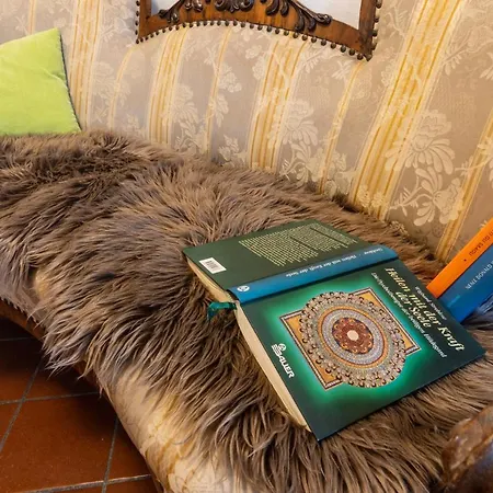 Guest house Camping & 3*